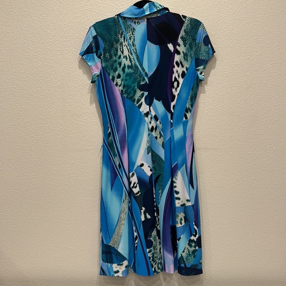 Cache Dress - Picture 5 of 5